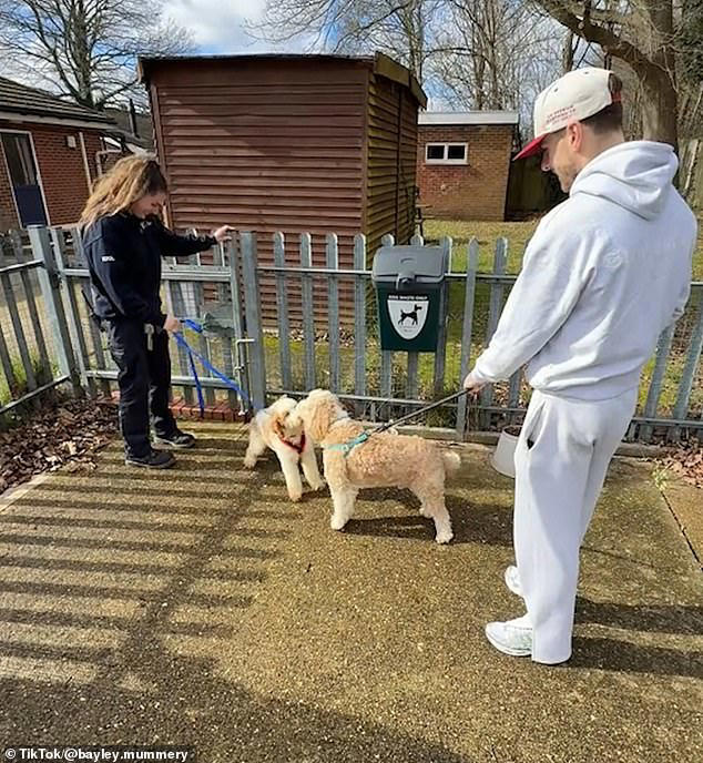 Heartwarming moment Love Island star and his pet cockapoo rescue poodle ...