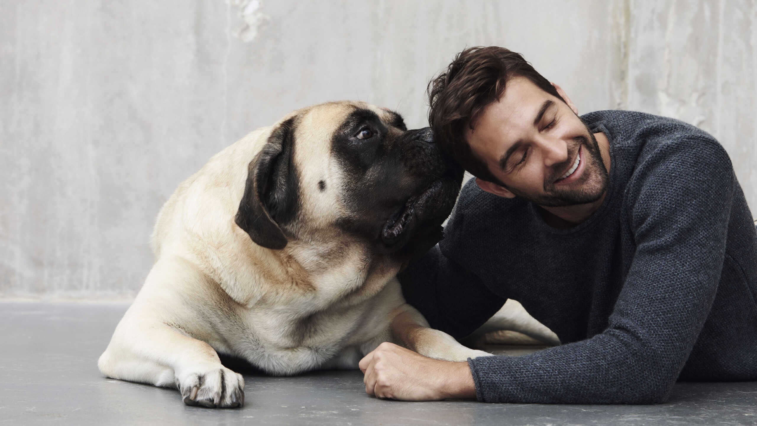 8 things dogs do when they sense something is wrong with you