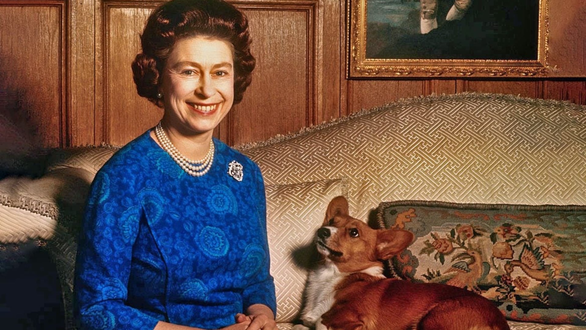 Famous pets that lived the celebrity life too