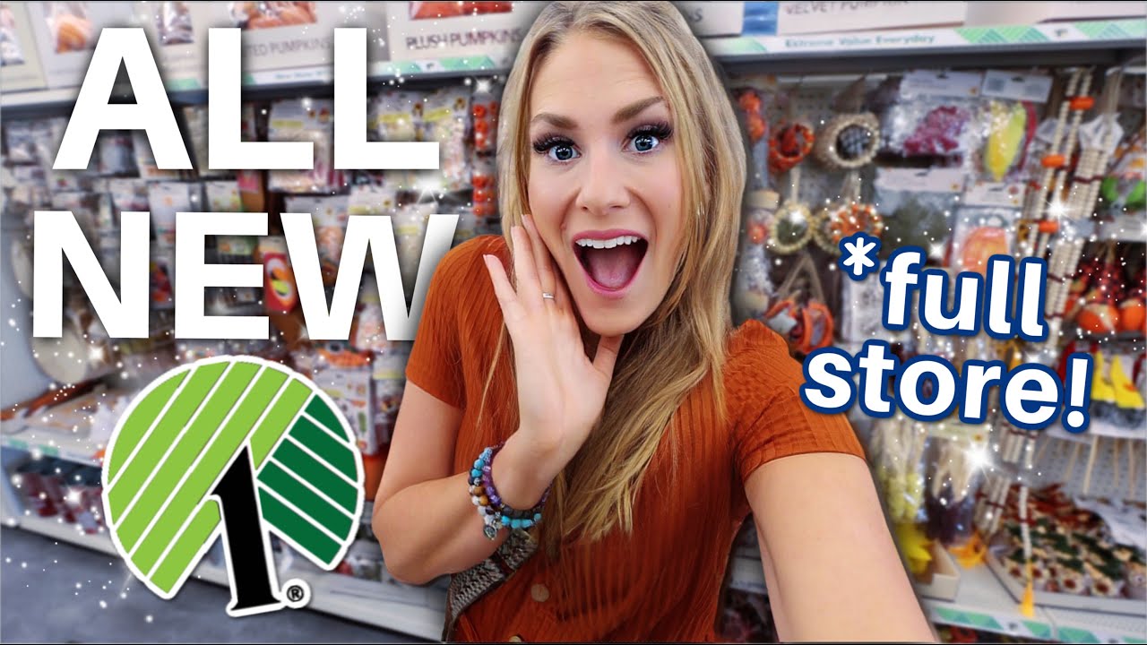 Dollar Tree fall & Halloween haul: Stunning budget decor & easy DIY ...