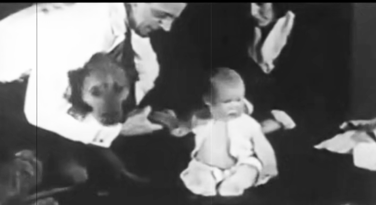 One of psychology’s darkest human experiments: ‘Little Albert ...