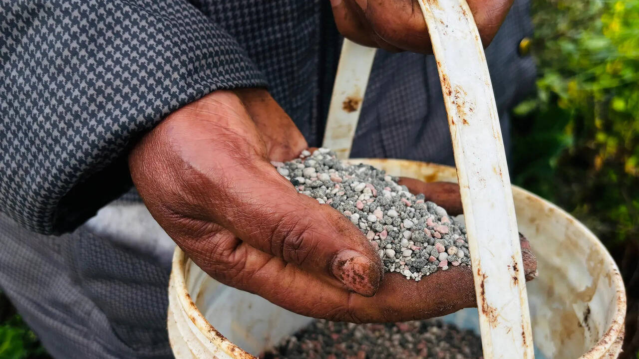 Iran war highlights global dependence on petrochemicals