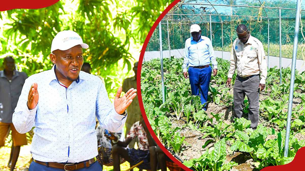 William Ruto’s govt to turn Turkana into key agricultural hub with mega ...