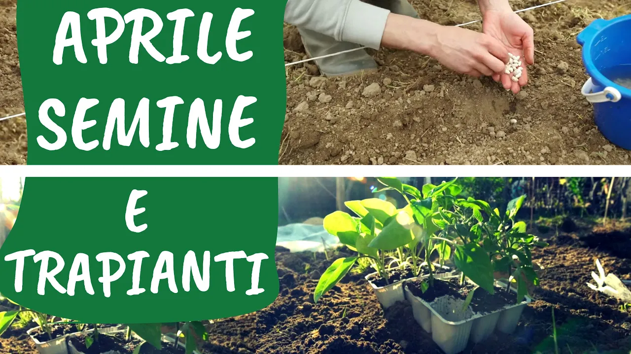 Aprile: semine e trapianti da fare nell'orto