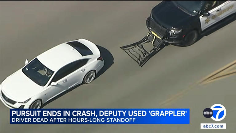Insane moment cops deploy Batman-like gadget during high-speed car ...
