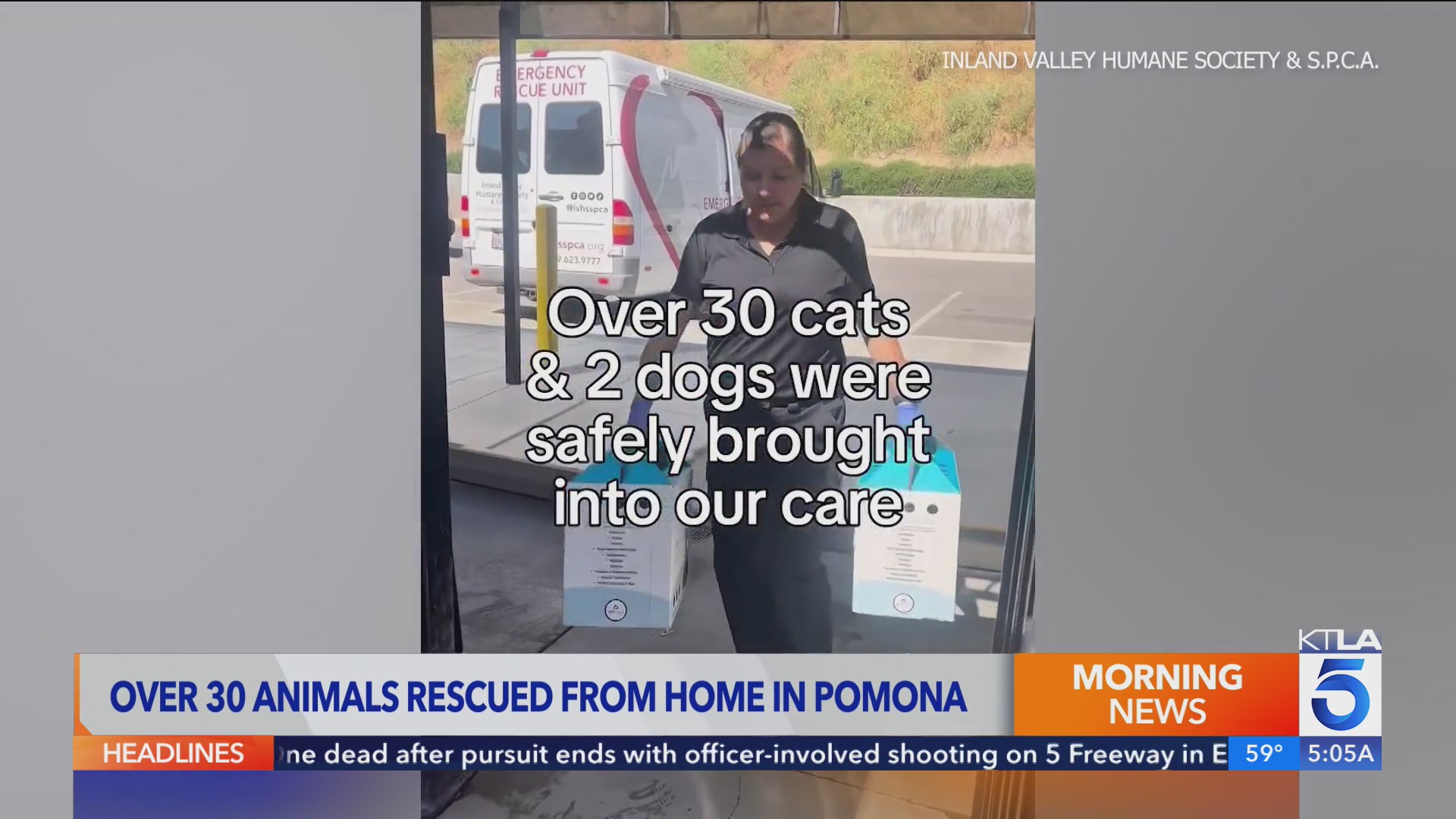 Over 30 pets rescued from home in Pomona