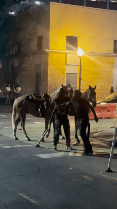 Viral video shows horse on loose getting hit by car in North Carolina