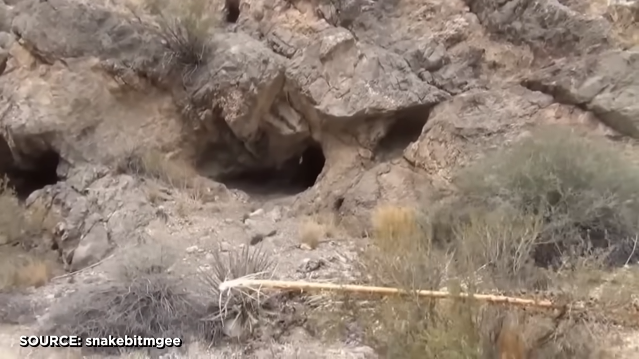 The scariest Missing 411 theory may be that nature doesn’t need a ...