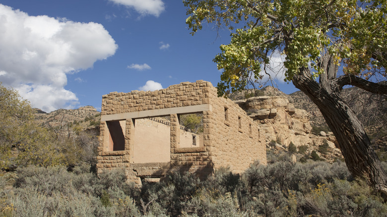 Utah's remote ghost town is an abandoned beauty