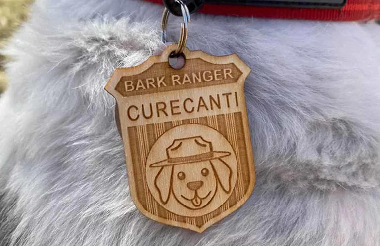 At these national parks, your dog can earn the title of 'BARK Ranger ...