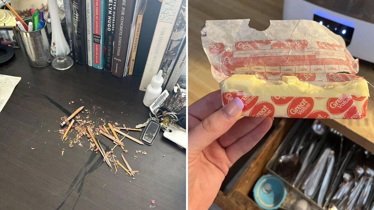 13 photos of minor but annoying daily problems