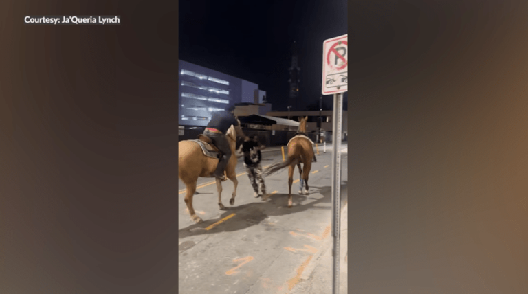 Loose horse in North Carolina gets hit by car after rider attempts ...