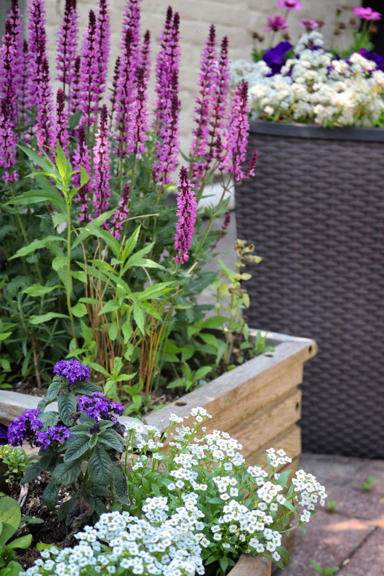 18 charming small garden ideas that are big on personality