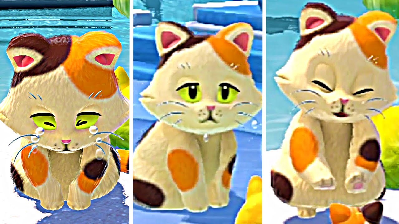 All Cats Rescued in Bowser's Fury & All Cats Animations in Bowsers Fury