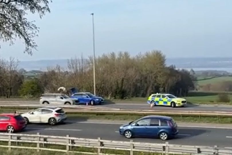 Driver ran across A55 in police chase with helicopter, dogs and patrol cars
