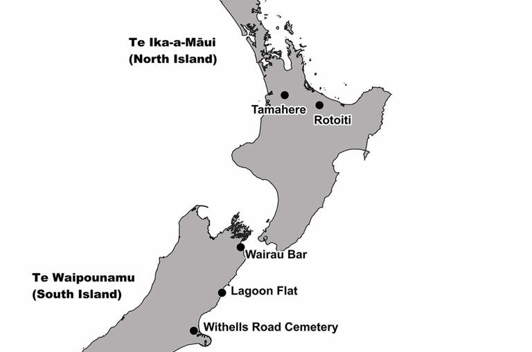Ancient Māori remains point to largely plant-based diets before ...