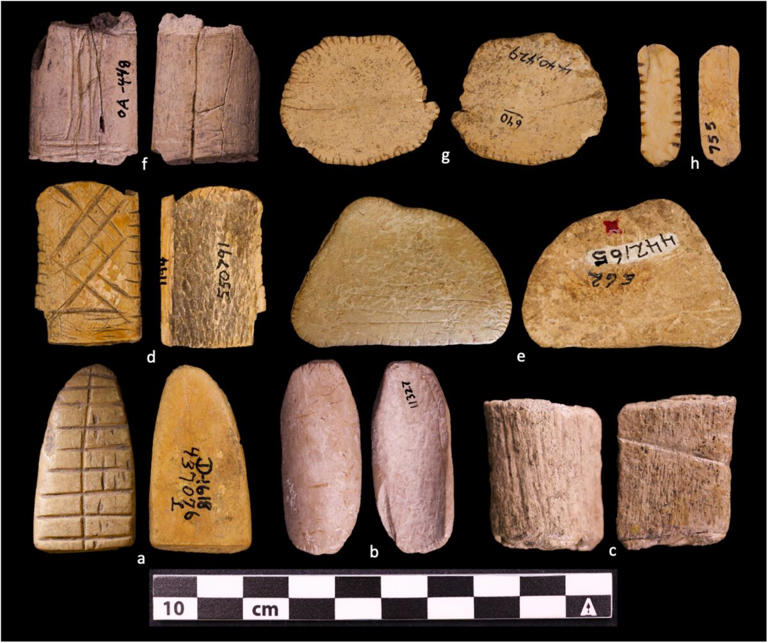 Scientists thought they were ordinary bones, but they turned out to be ...