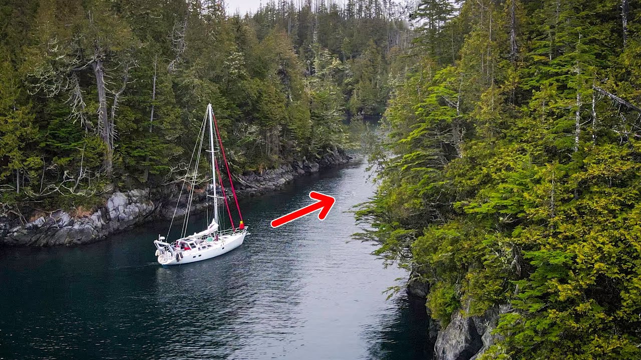 Threading the needle - dodging trees en route to Alaska