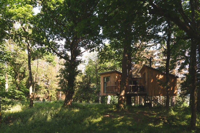 I spent the spring equinox off-grid in a Scottish treehouse - it was bliss