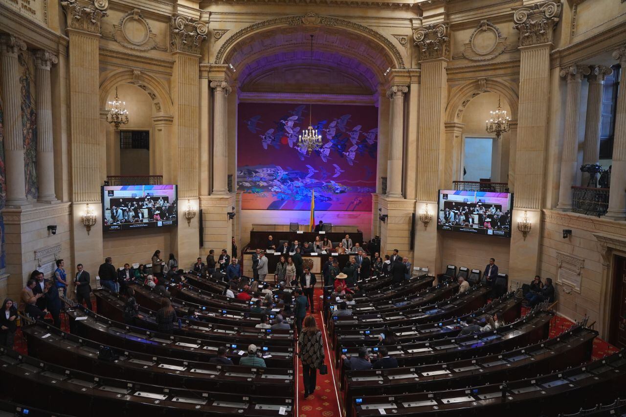 Congreso aprueba en una maratón la prohibición de ablación, ley nuclear ...