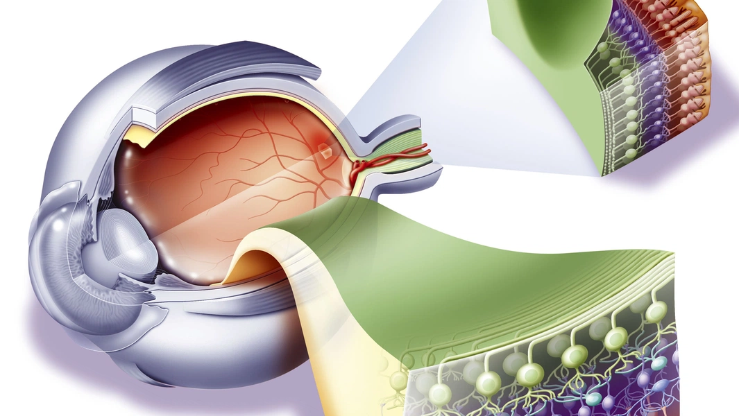 Study finds concert hall colors shape music perception