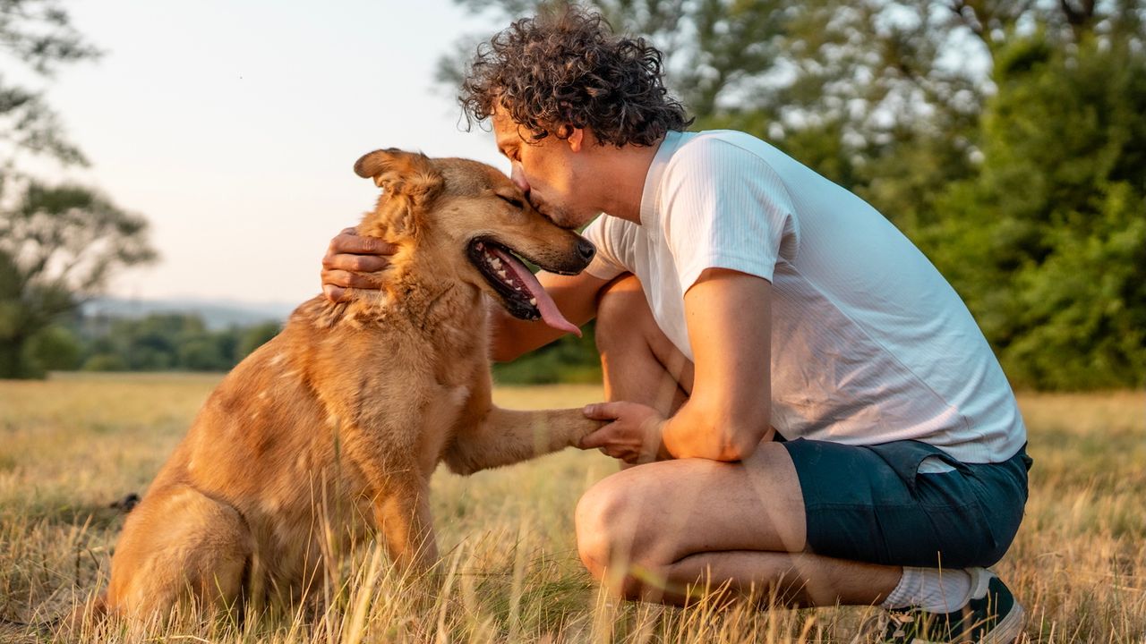 Dog-obsessed fans can identify all 10 of these breeds — can you?