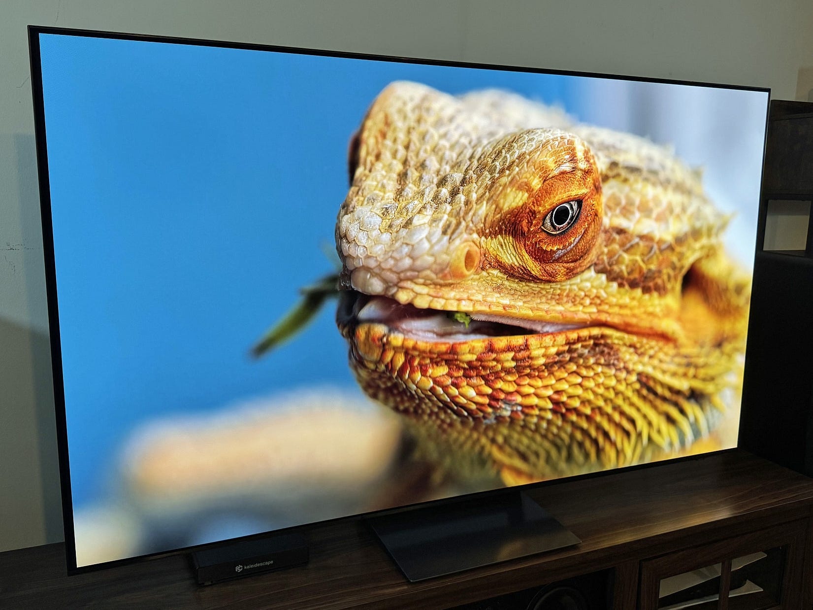 An angled view of a Samsung S90F OLED TV displaying an image of a lizard.