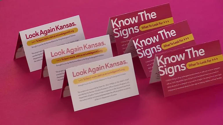 Look again - KADEC launches crisis prevention program for children ...