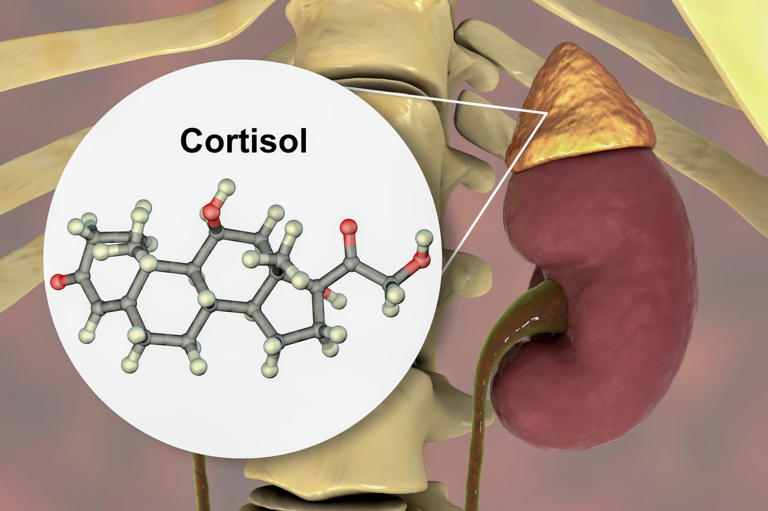 What is the ‘cortisol spike’ and why everyone’s talking about it