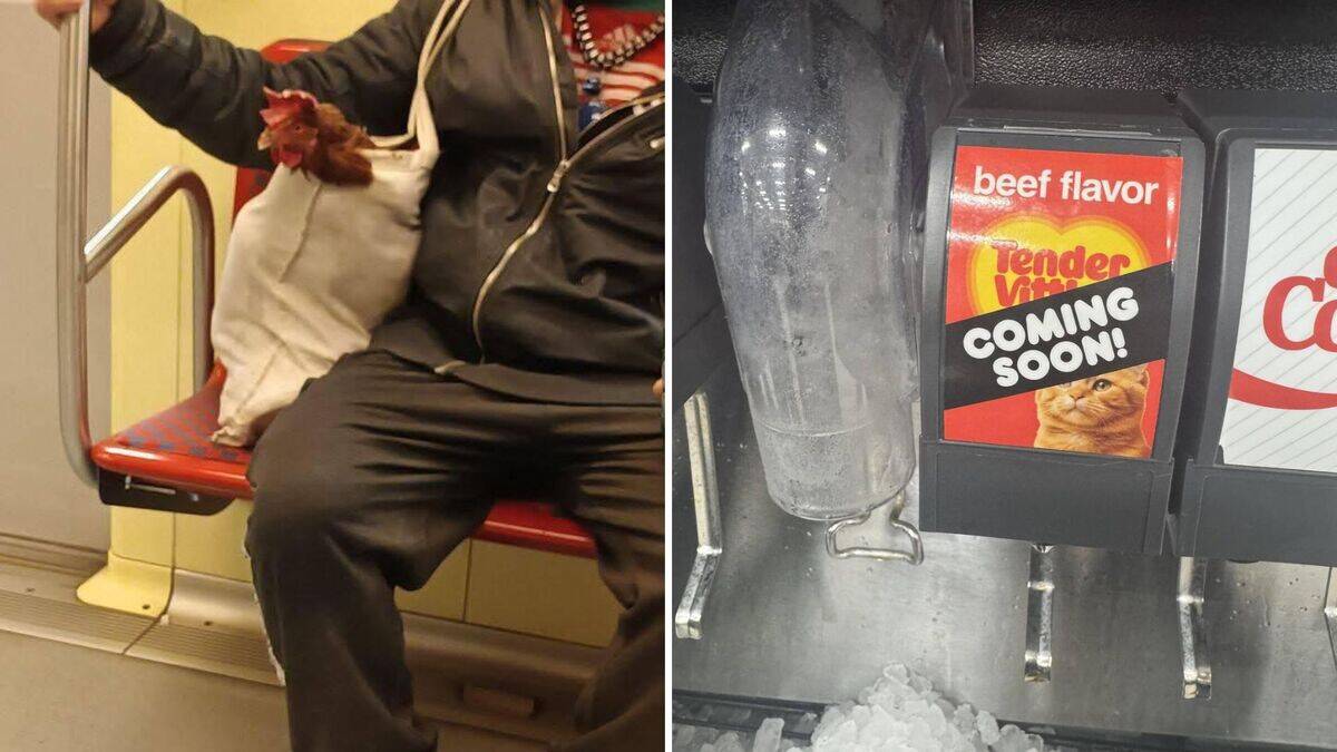 Odd moments that make life more interesting