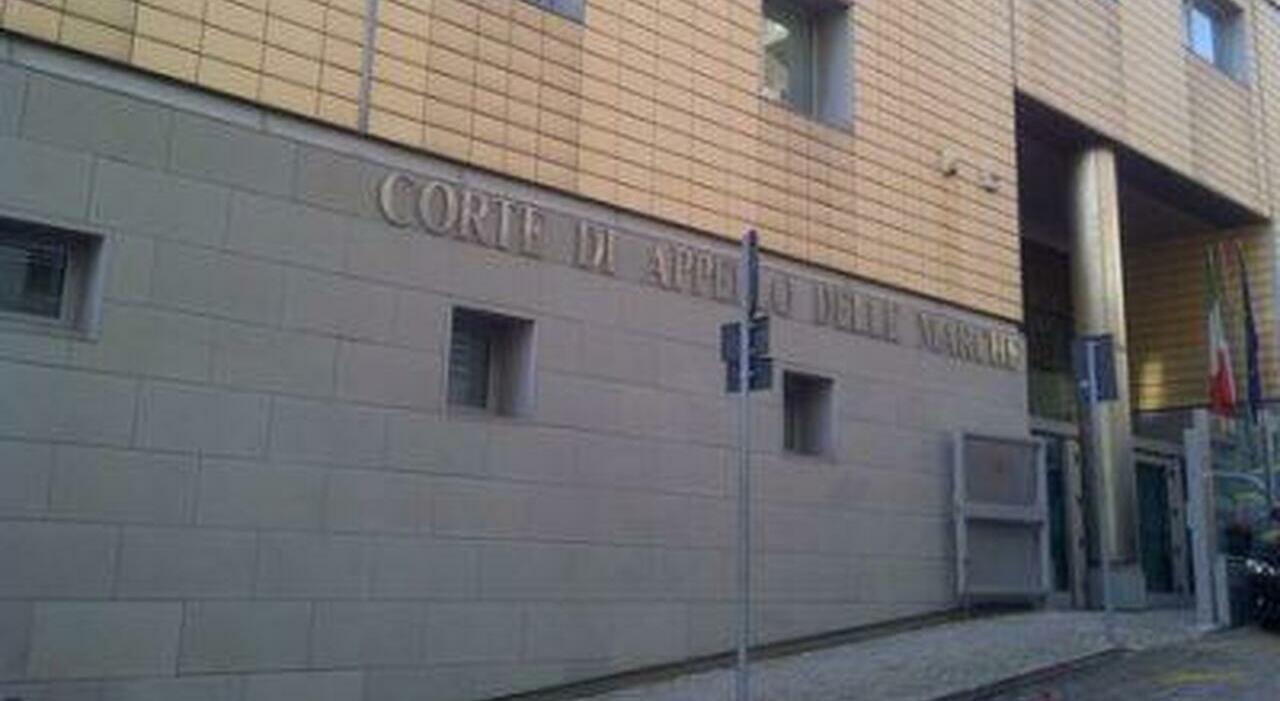 Potenza Picena, la Panda investe un tasso in autostrada, trauma cranico ...