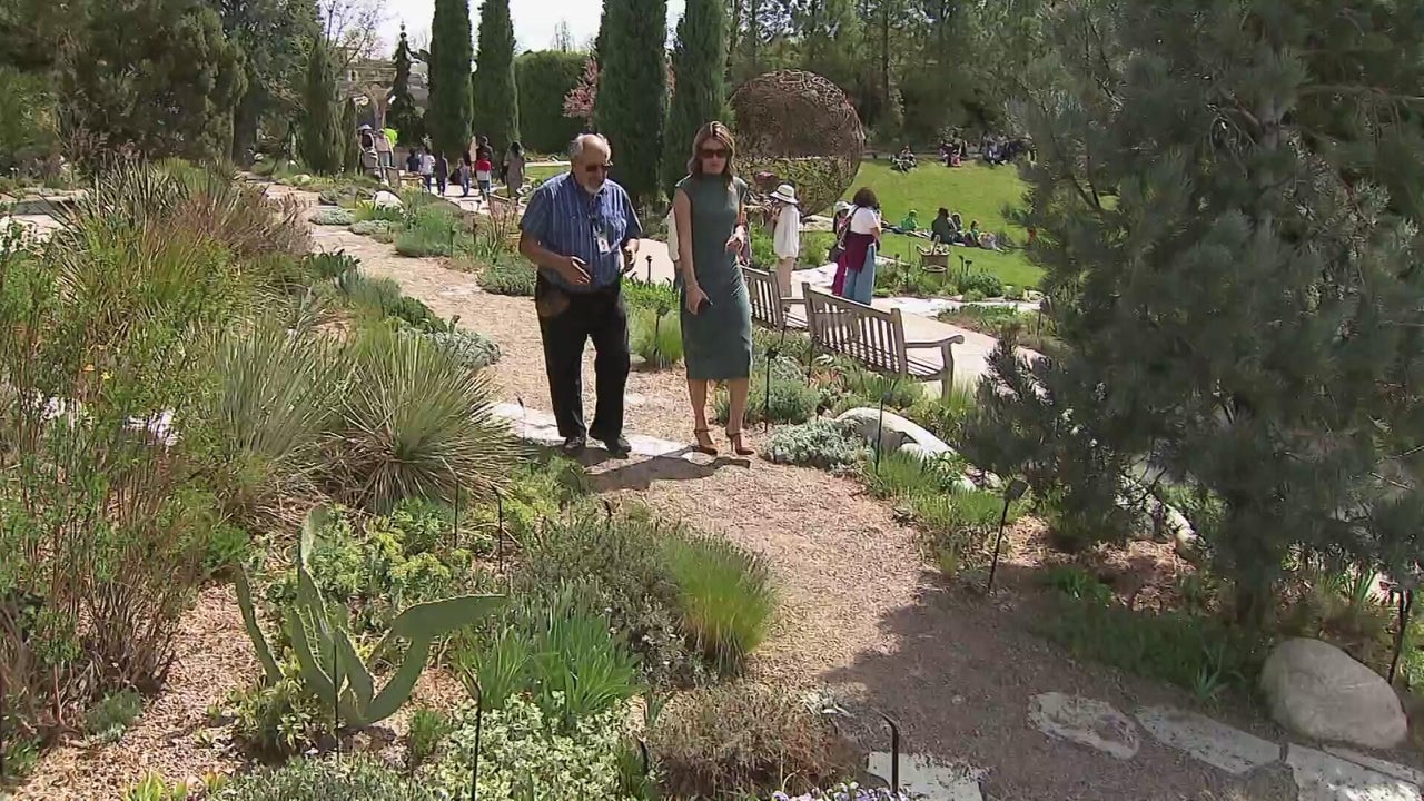 Plant expert gives advice on what to plant right now in Colorado amid ...