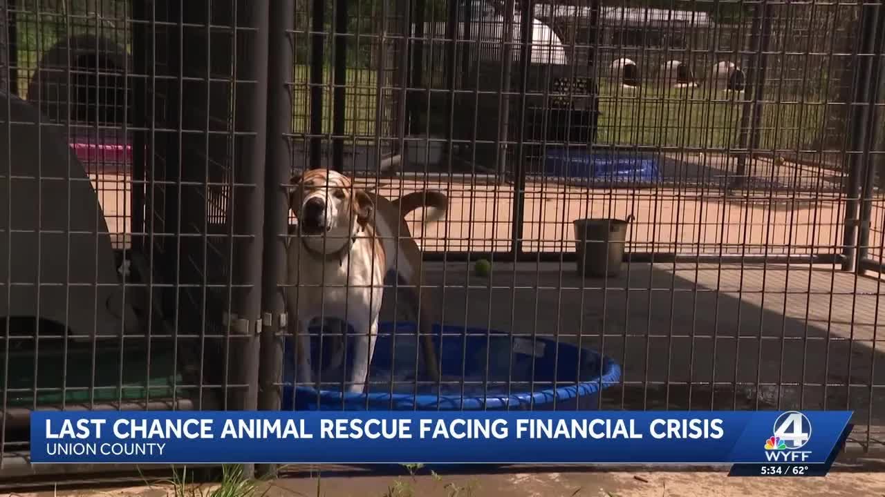 Last Chance Animal Rescue facing financial crisis