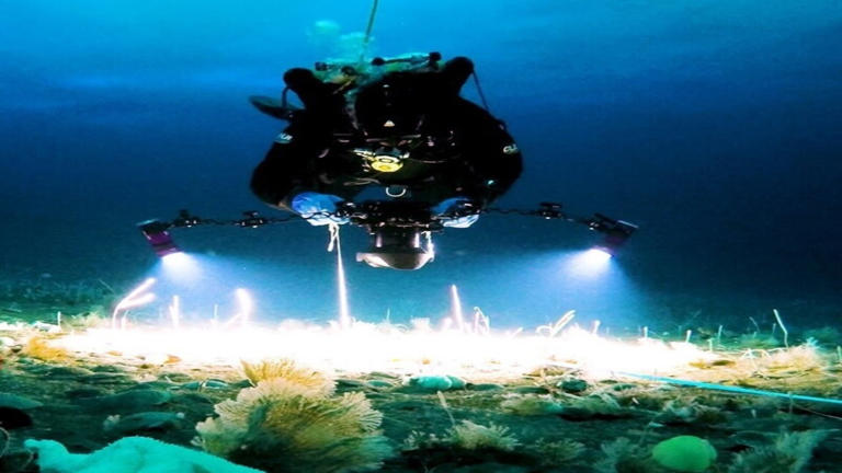Science under the ice reveals Antarctica’s hidden ocean life
