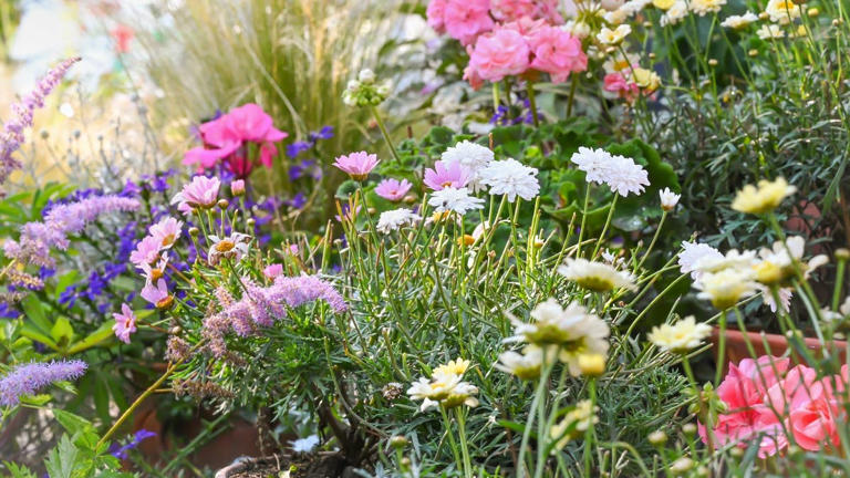 Discover the whimsical comeback of chaos gardening this spring with ...