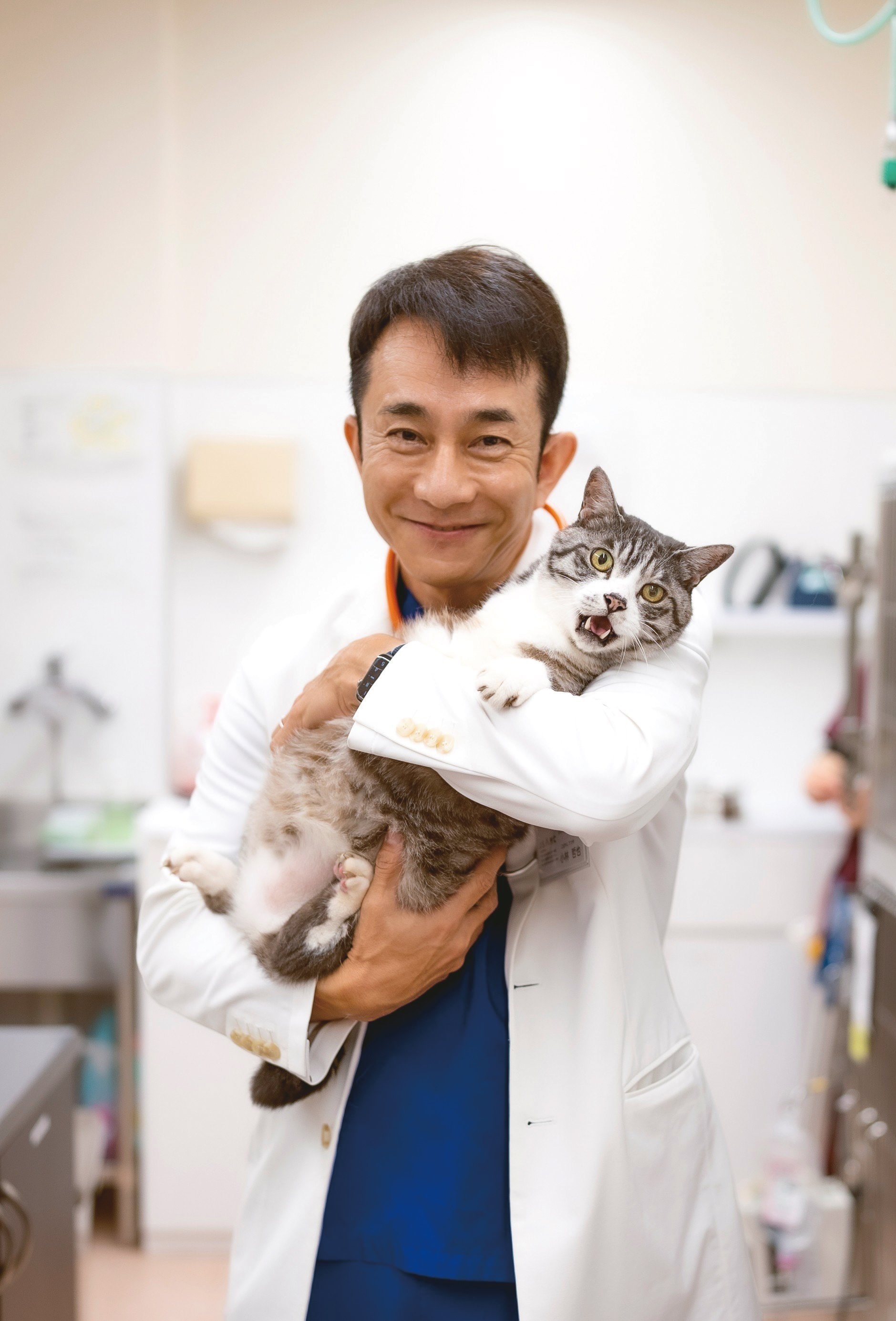 猫の診療最前線 猫の診療指針 Part3 株式会社 緑書房