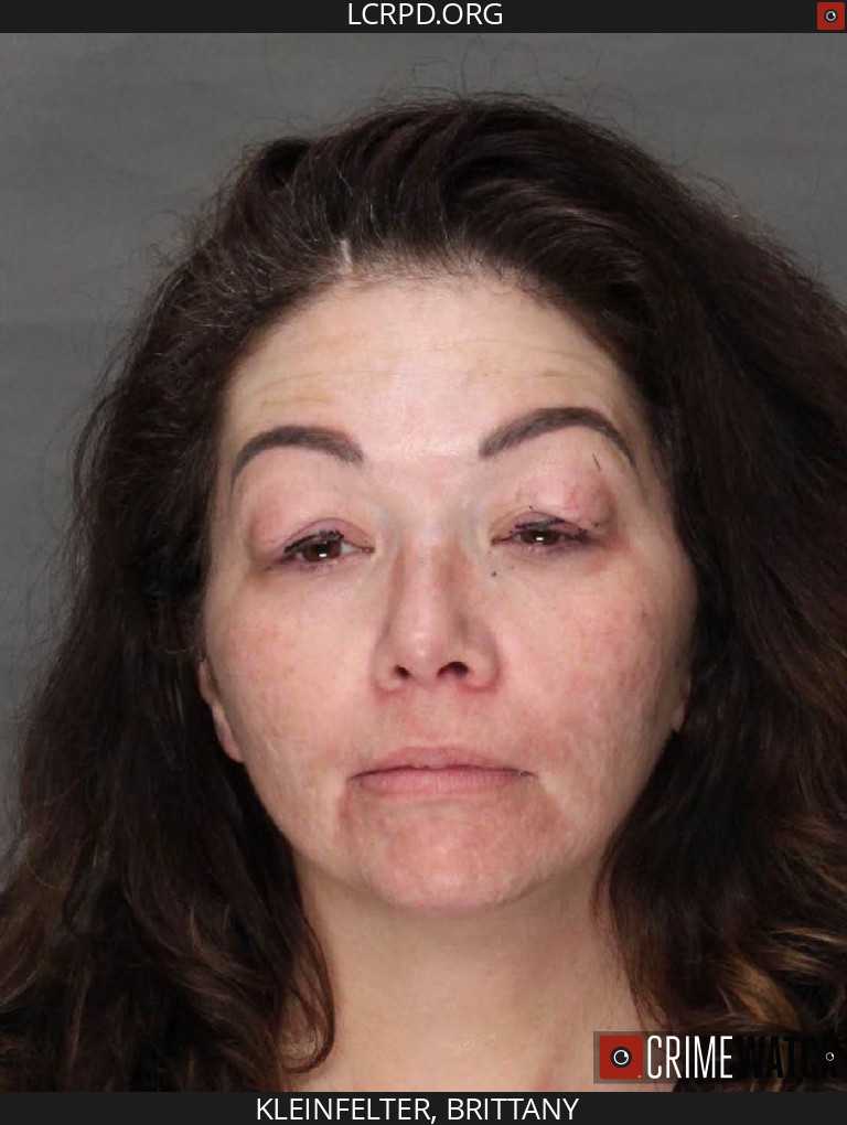 Lebanon County woman charged after children allegedly left home alone ...
