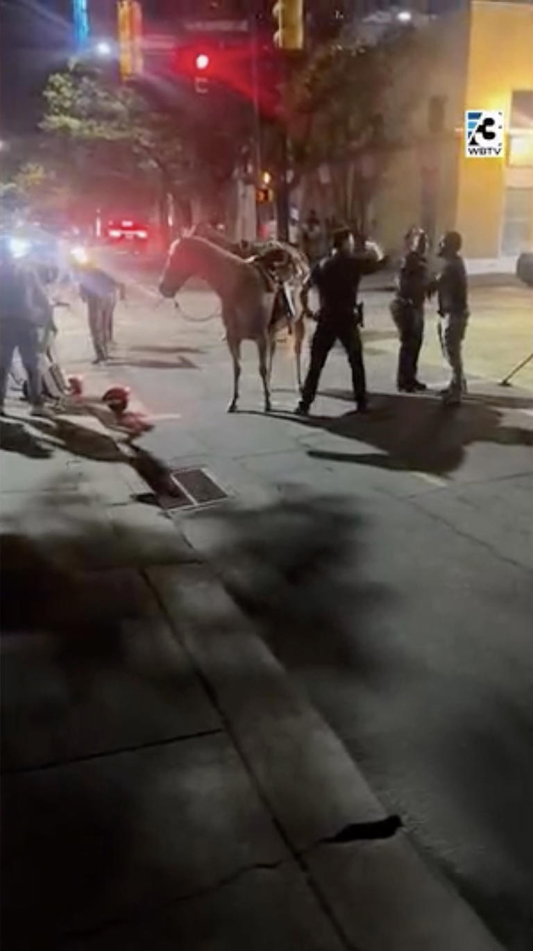 Horrifying video shows horse being smashed by car and launched into the ...