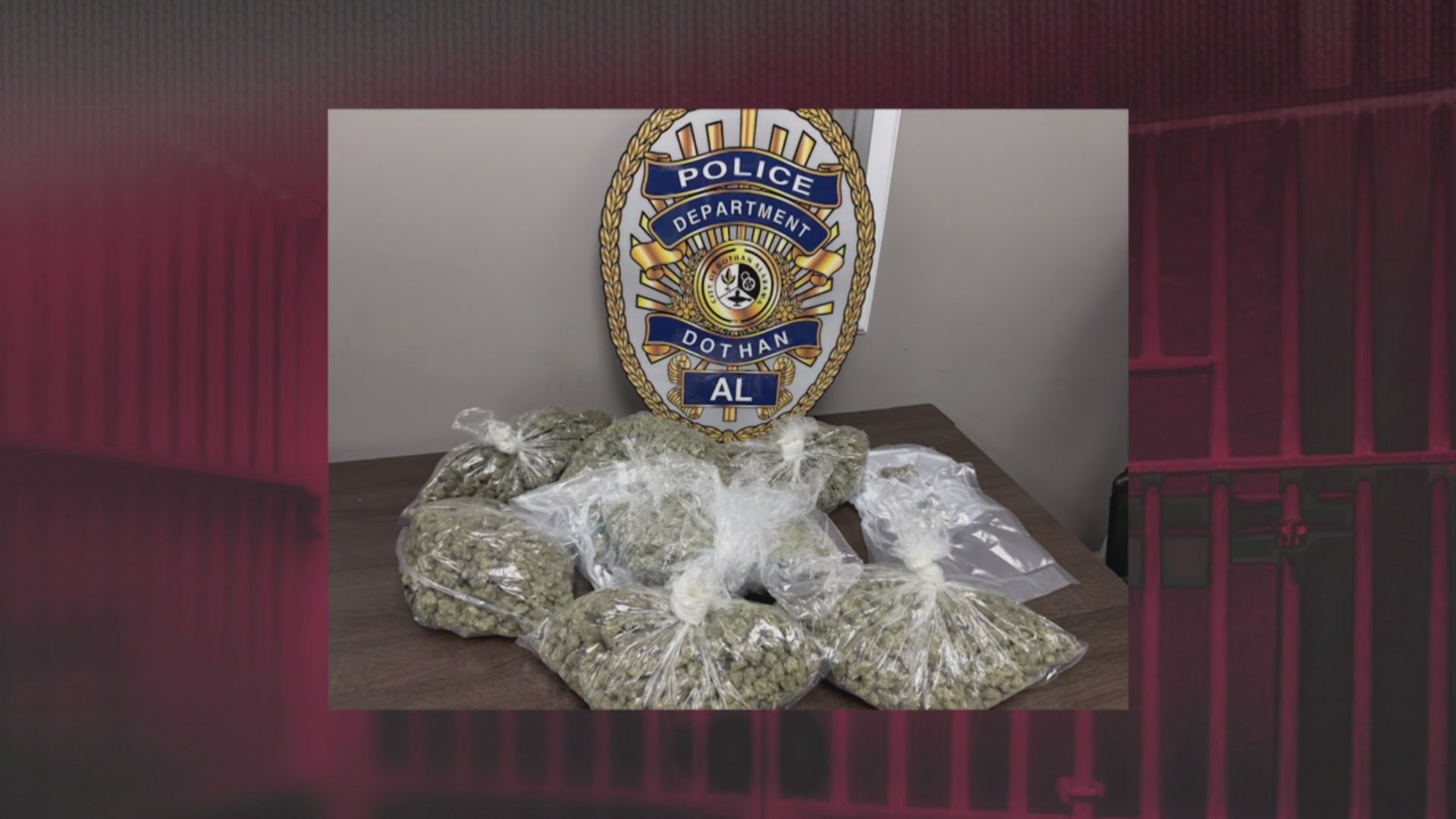 10 pounds of marijuana seized during Dothan traffic stop
