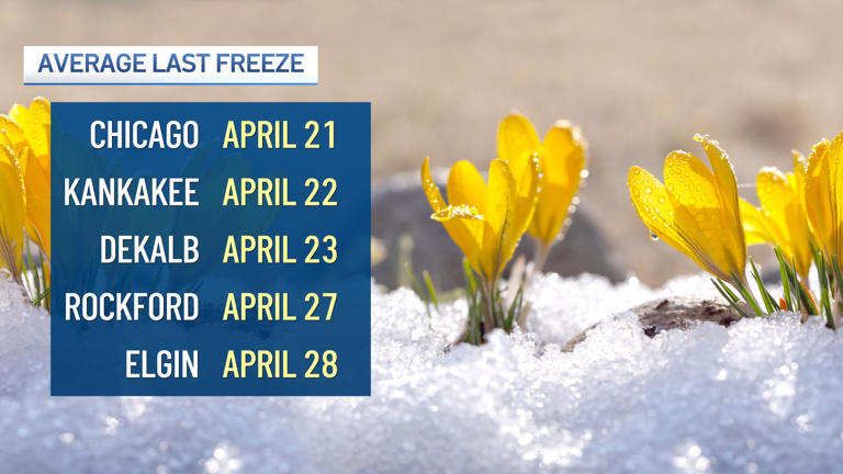 When is the best time to plant in the Chicago area this spring? A look ...