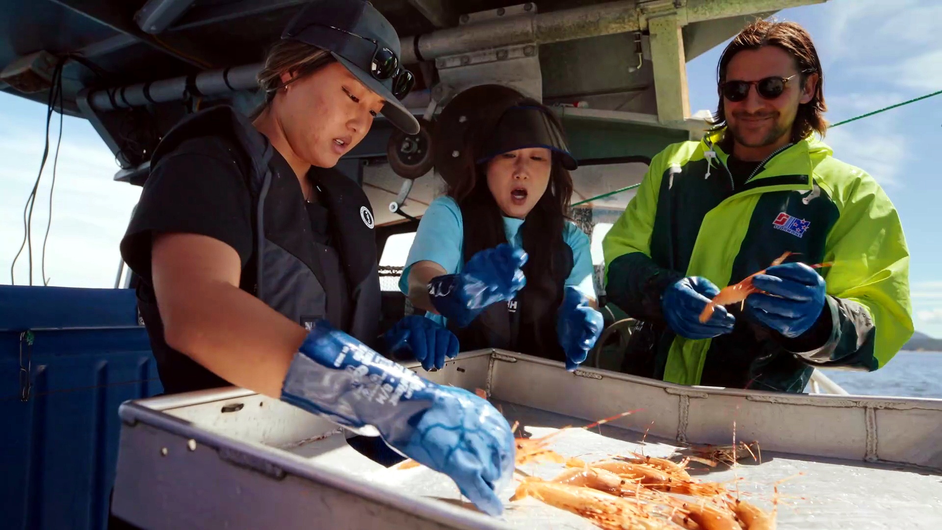 Our ocean table documentary movie