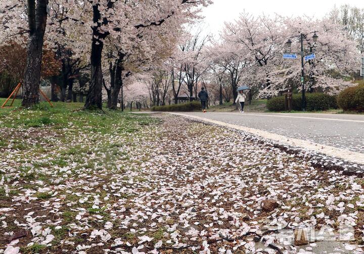 Summer consumption skips short-lived spring season