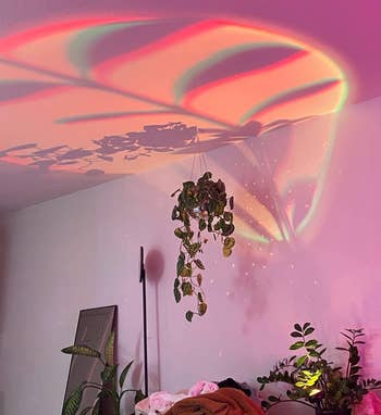 Vibrant light on ceiling