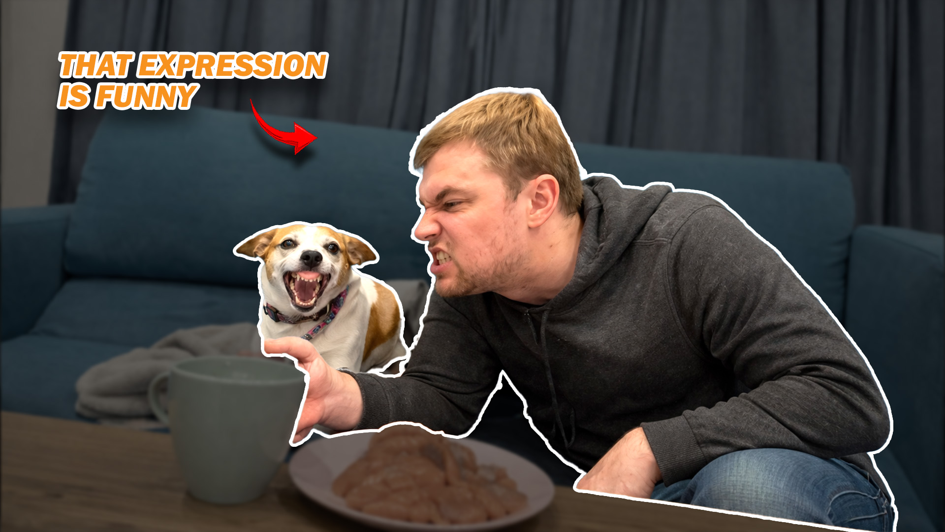 Funny dog moment highlights
