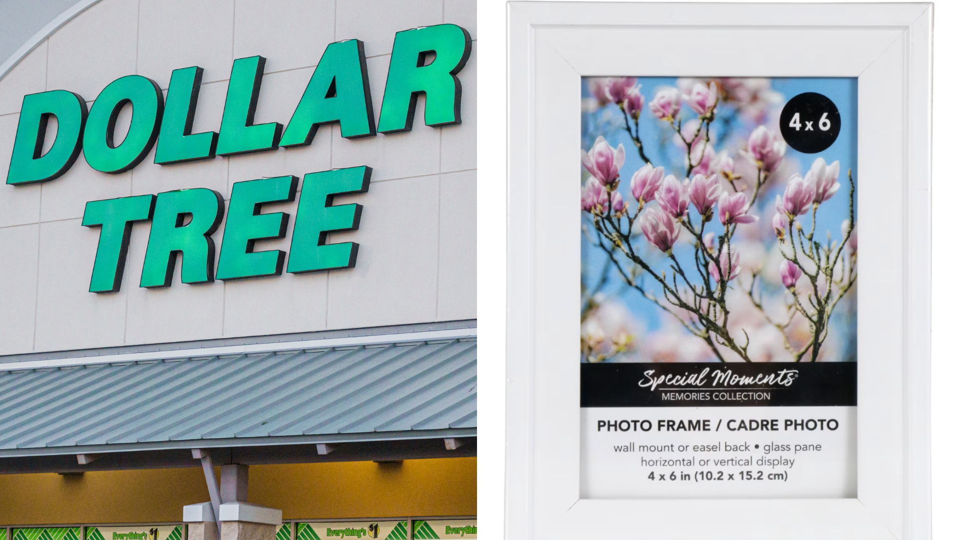 Minimalist decor at Dollar Tree for $1.75 or less