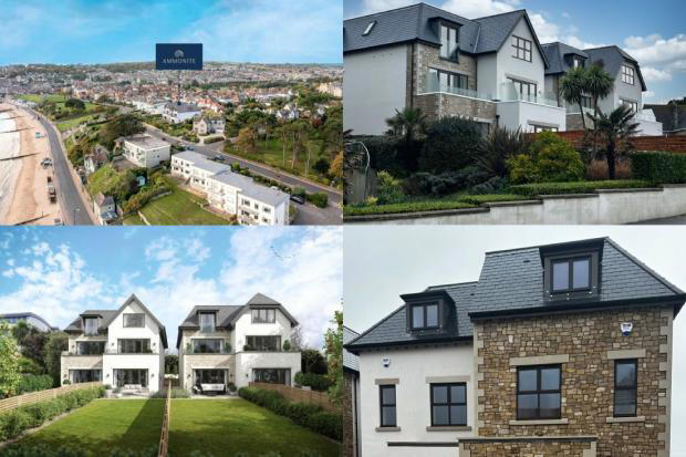 Four new homes with 'remarkable views' on the Dorset market after ...