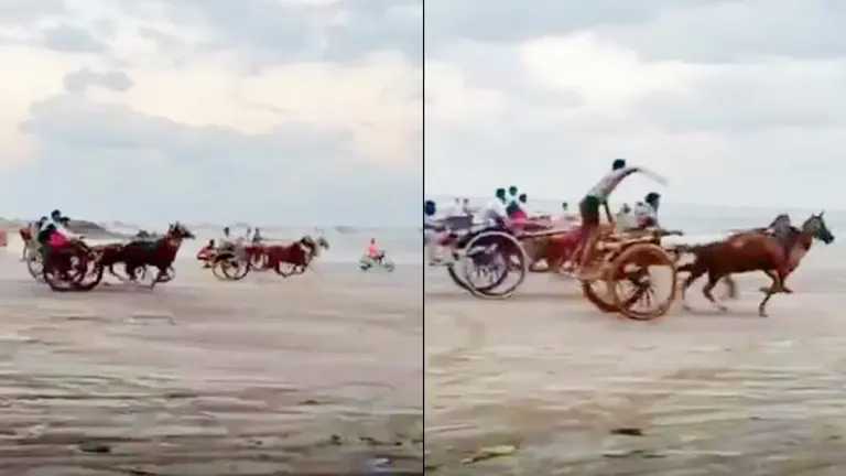 Illegal horse cart race at Gorai Beach lands organizers in FIR net