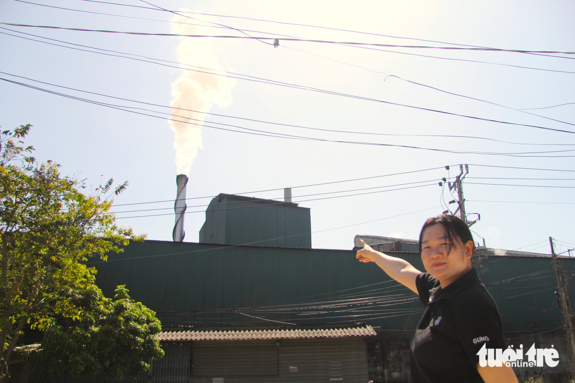 Công ty Mía đường Biên Hòa - Phan Rang thừa nhận bụi tro từ nhà máy ảnh hưởng khu dân cư