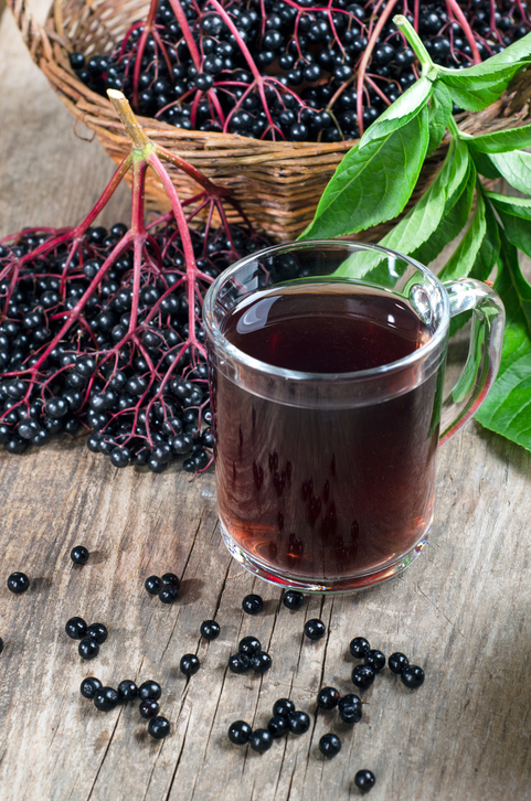 Wunderbar Rezepte Fr Holundersaft Bild