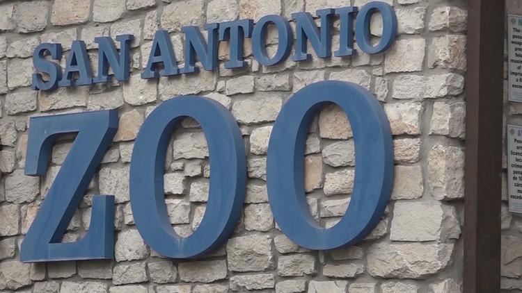 San Antonio Zoo offers $8 tickets to Bexar County residents on Friday ...
